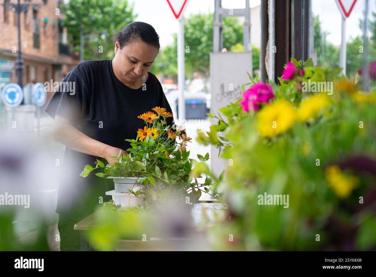 Fleuriste arrangeant des fleurs dans des pots à sa boutique, jardinage et concept de petite entreprise Banque D'Images