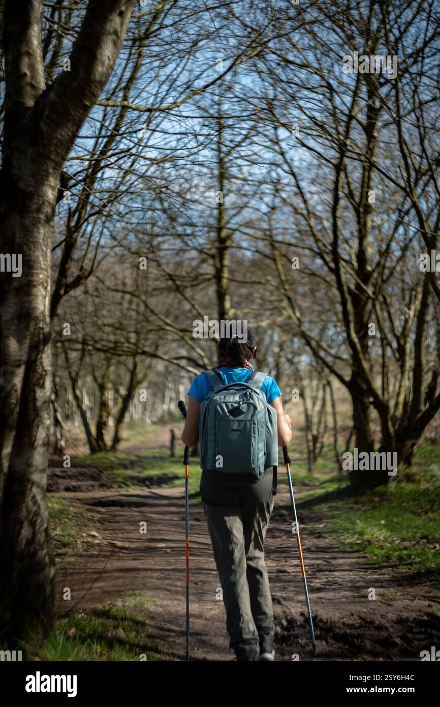 Femme avec des bâtons de randonnée marche parmi les arbres sur la montagne Naranco dans la ville d'Oviedo, Espagne. Banque D'Images