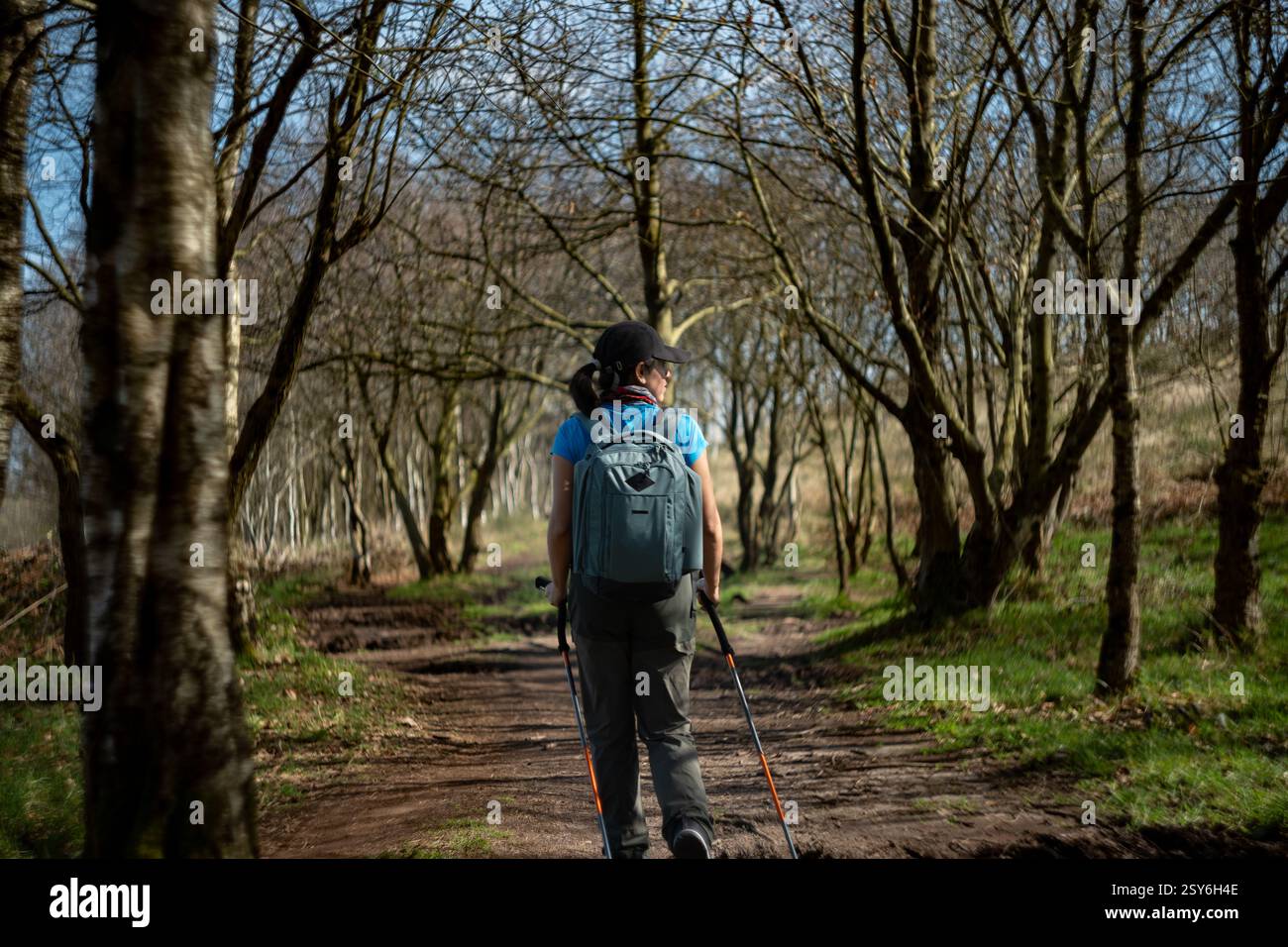 Une femme avec des bâtons de randonnée regarde le paysage alors qu'elle marche le long d'un chemin bordé d'arbres. Banque D'Images