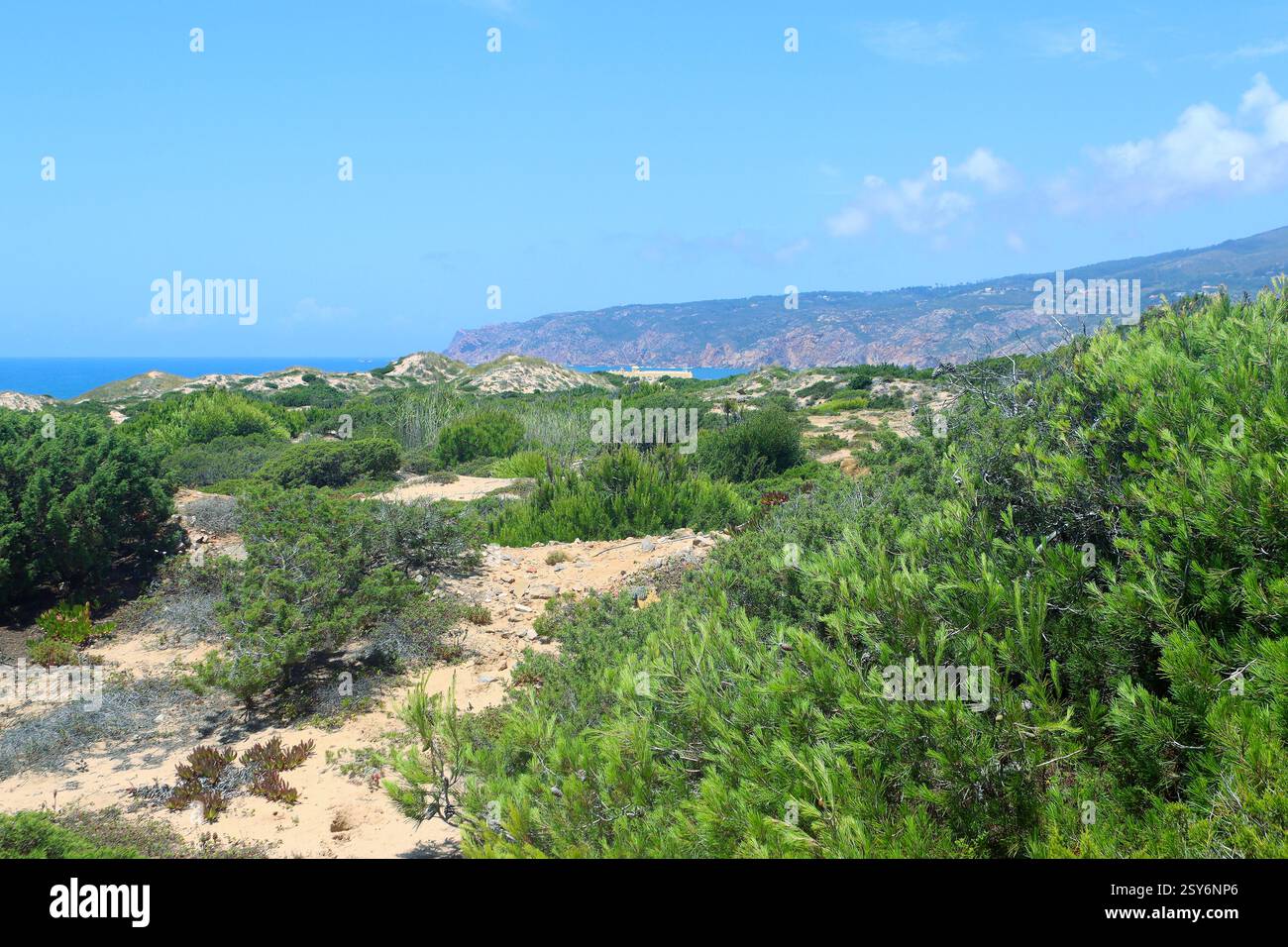 La dune de Cresmina, qui fait partie du système de dunes Guincho-Oitavos, Guincho, Portugal Banque D'Images