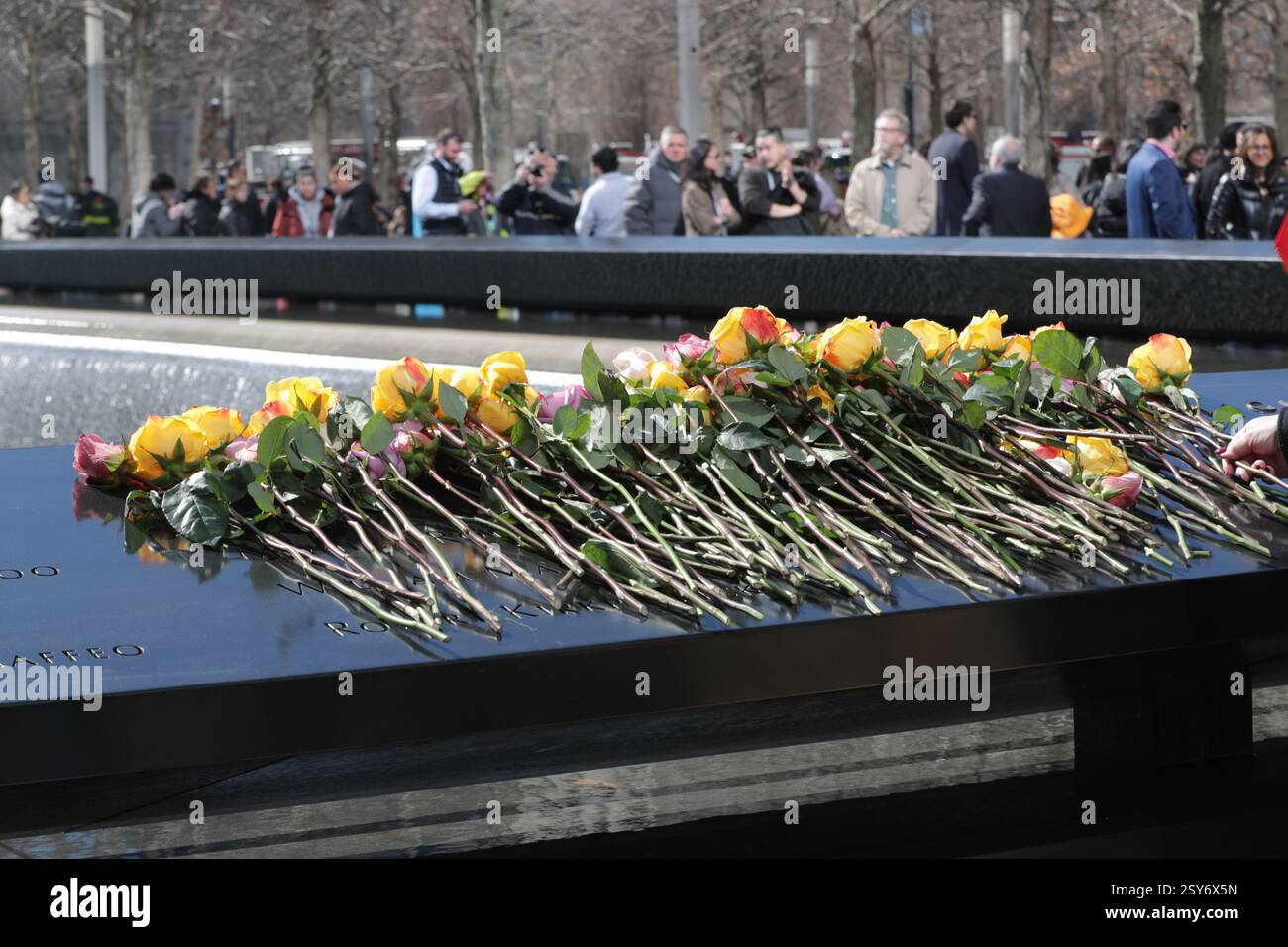 New York, États-Unis. 26 février 2025. NEW YORK, NEW YORK - FÉVRIER 26 : un pompier pose une fleur sur le nom du défunt lors d'une cérémonie solennelle marquant l'anniversaire de l'attentat du World Trade Center de 1993 au Mémorial de 9/11. L'événement a honoré les six victimes qui ont perdu la vie dans l'attaque, avec des familles, des premiers intervenants et des officiels réunis pour rendre hommage. (Photo : Giada Papini Rampelotto/EuropaNewswire/Sipa USA). Crédit : Sipa USA/Alamy Live News Banque D'Images New York, États-Unis. 26 février 2025. NEW YORK, NEW YORK - FÉVRIER 26 : un pompier pose une fleur sur le nom du défunt lors d'une cérémonie solennelle marquant l'anniversaire de l'attentat du World Trade Center de 1993 au Mémorial de 9/11. L'événement a honoré les six victimes qui ont perdu la vie dans l'attaque, avec des familles, des premiers intervenants et des officiels réunis pour rendre hommage. (Photo : Giada Papini Rampelotto/EuropaNewswire/Sipa USA). Crédit : Sipa USA/Alamy Live News Banque D'Images