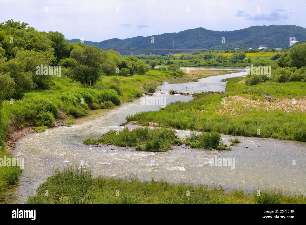 Sejong City, Corée du Sud - 27 mai 2021 : un ruisseau sinueux coule à travers une végétation luxuriante avant de fusionner dans la rivière Geum, avec des montagnes lointaines et un Banque D'Images