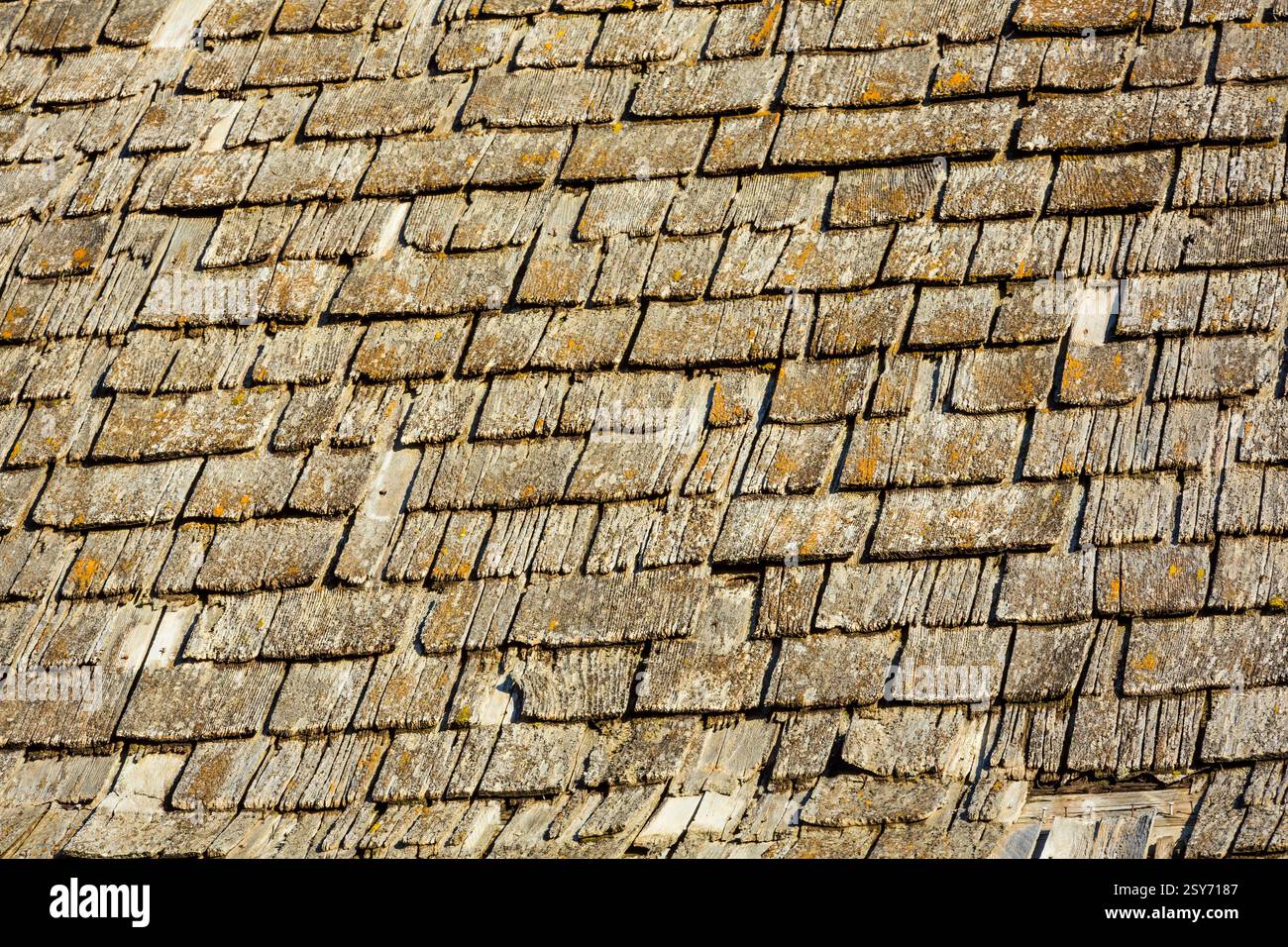 Toit avec bardeaux de bois. Les bardeaux sont bruns et ont quelques trous Banque D'Images