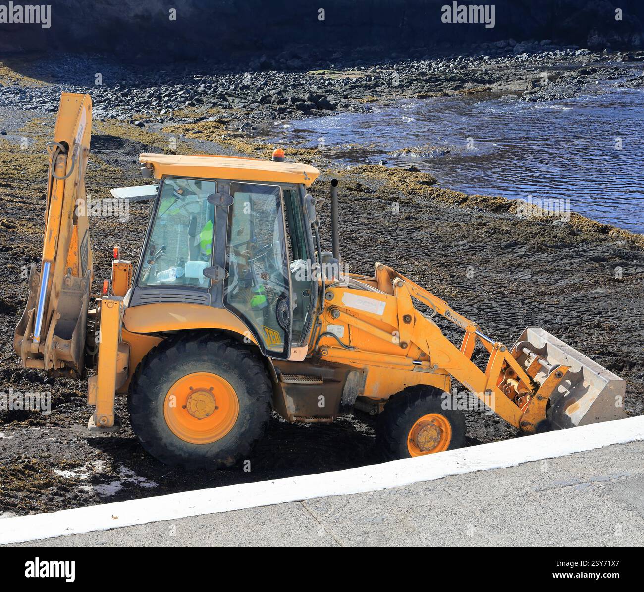 Jaune JCB enlevant les algues sargasses nuisibles de la plage de la ville, El Cotillo, Fuerteventura, Îles Canaries, Espagne. Prise 2024 Banque D'Images