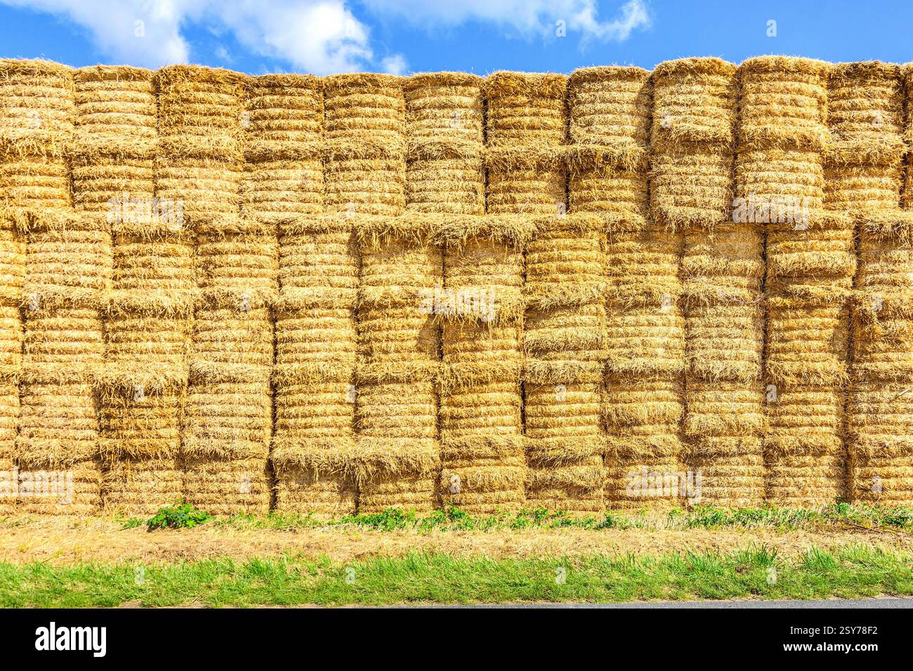 Grande pile de balles de paille sur les terres agricoles - Martizay, Indre (36), France. Banque D'Images