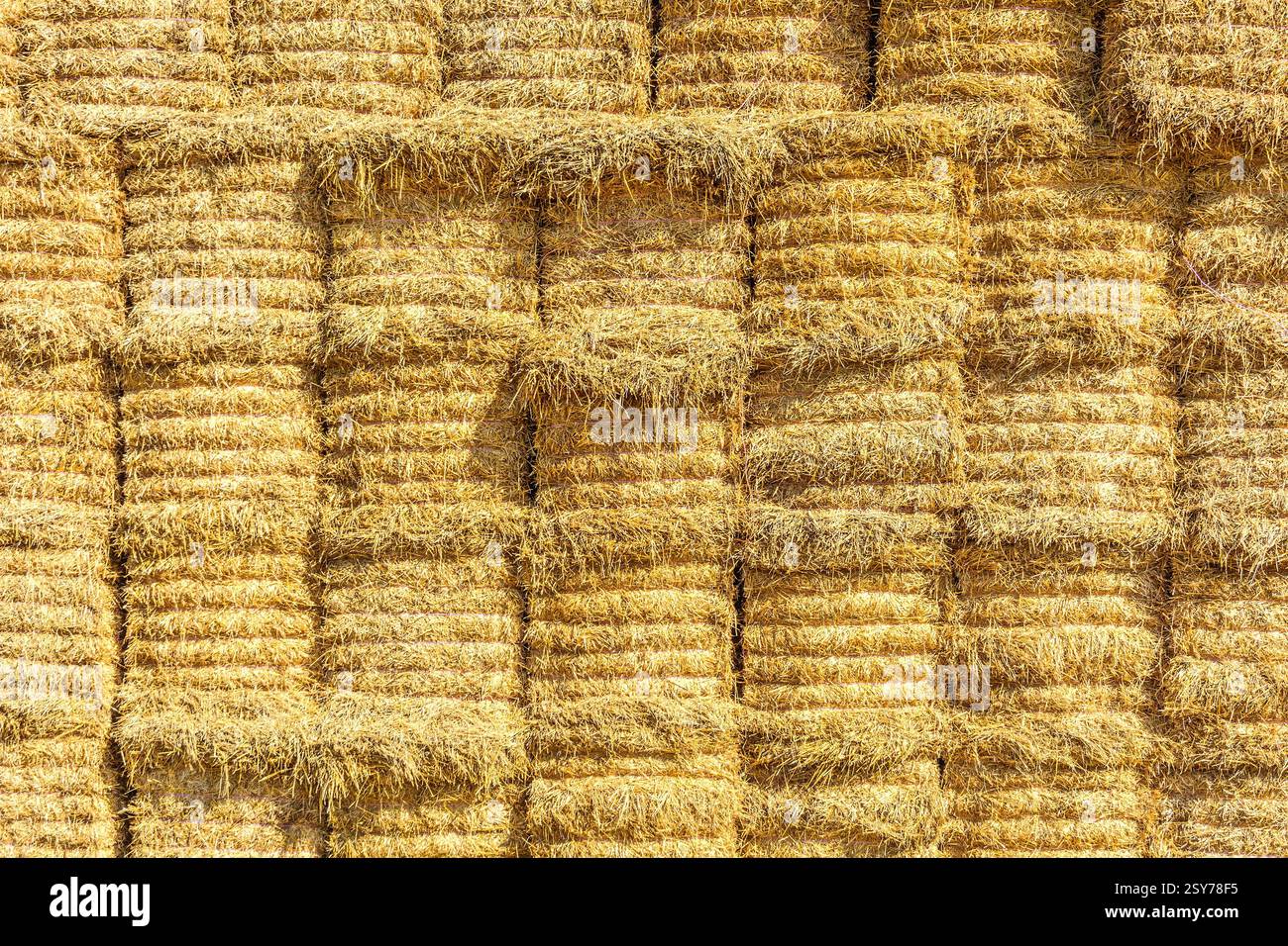 Grande pile de balles de paille sur les terres agricoles - Martizay, Indre (36), France. Banque D'Images