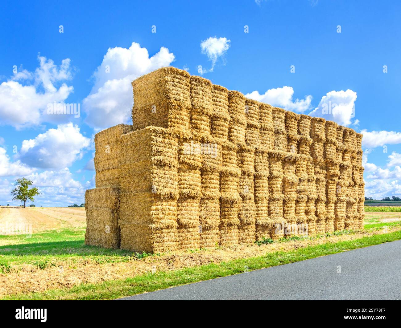 Grande pile de balles de paille sur les terres agricoles - Martizay, Indre (36), France. Banque D'Images