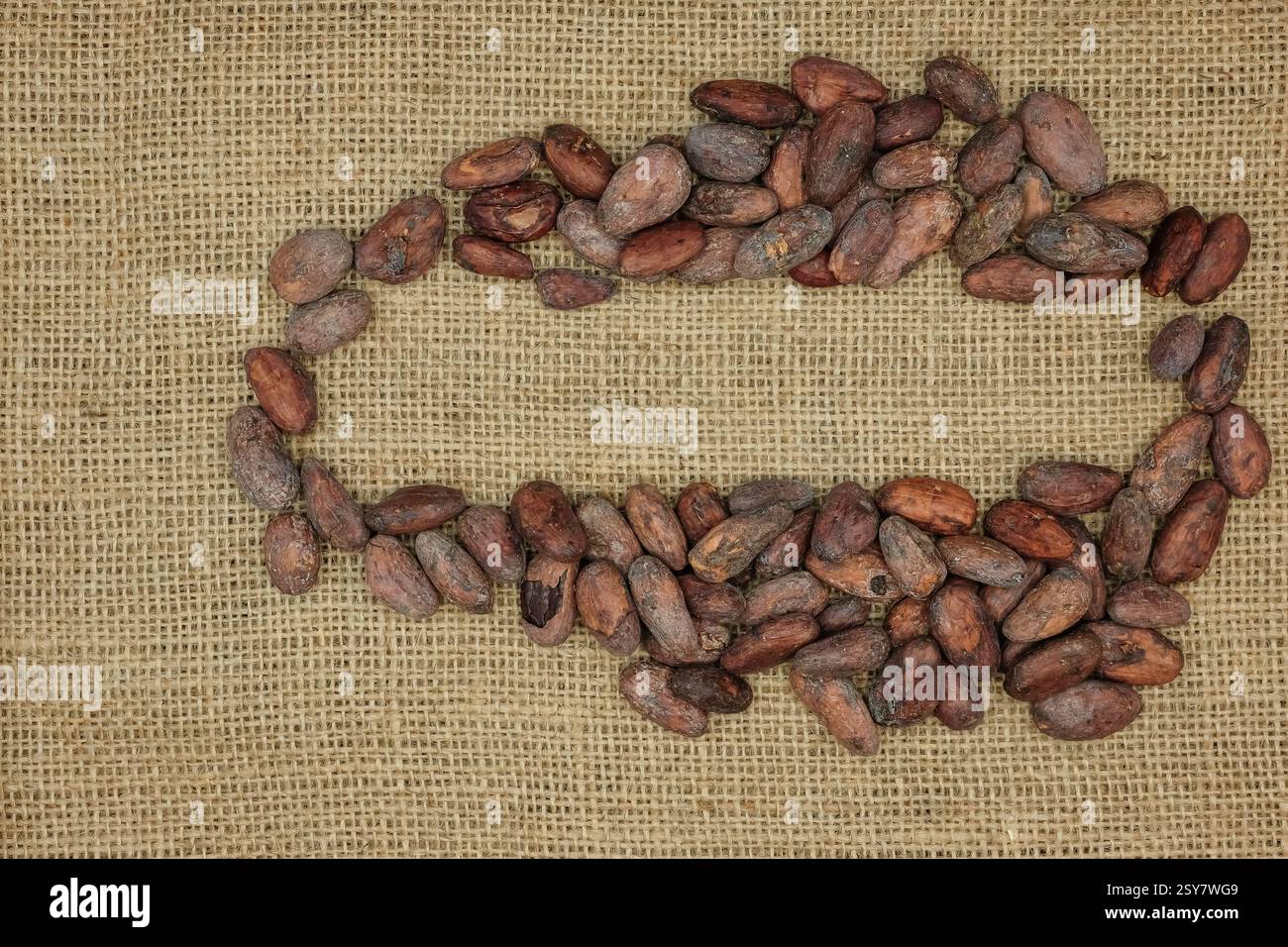 Fèves de cacao sur le fond de jute respectueux de l'environnement. Transport de la production agricole. Le prix et le coût des fèves de cacao. Copier l'espace. Banque D'Images