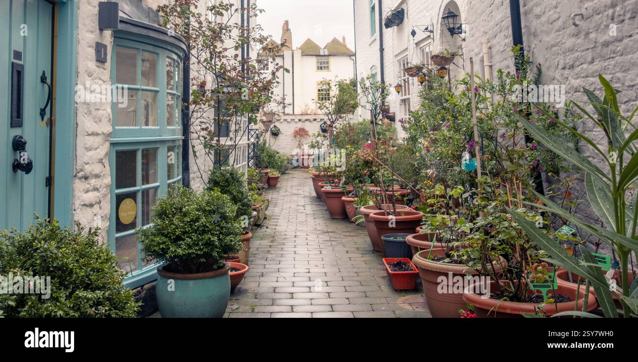 Un sentier entre les chalets bordés de pots et de plantes dans la ville historique de Deal, Kent. Banque D'Images