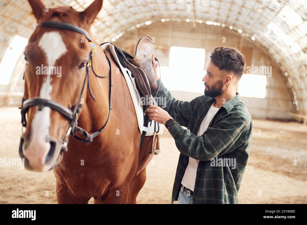 Procédé de préparation de l'animal pour une promenade. Un jeune homme avec un cheval est dans le hangar. Banque D'Images