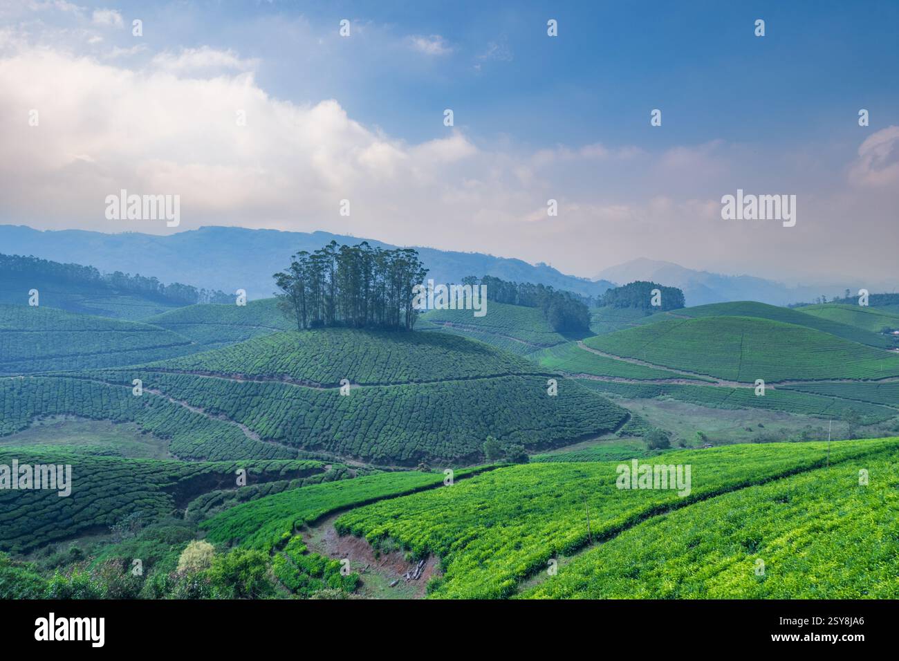Munnar, Kerala : magnifique paysage pittoresque de Lockhart Gap View point Munnar, Inde prise le 18 décembre 2022 Banque D'Images