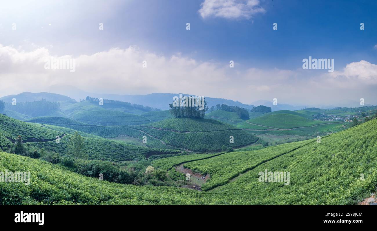 Munnar, Kerala : magnifique paysage pittoresque de Lockhart Gap View point Munnar, Inde prise le 18 décembre 2022 Banque D'Images
