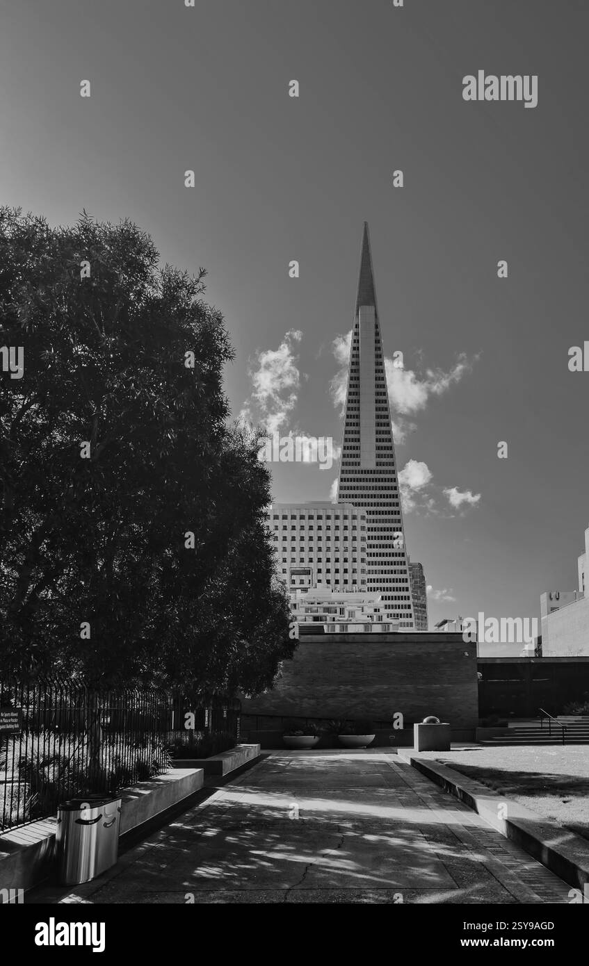 Une prise de vue sous-jacente capture l'emblématique Transamerica Pyramid à San Francisco, surplombant les bâtiments environnants. Banque D'Images