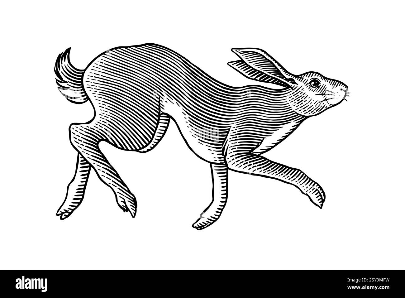 lièvres ou lapins assis et sautant, dans le vieux style traditionnel vintage, dessiné à la main à la plume et à l'encre. grand ensemble d'animaux de ferme sauvages gravés pour Illustration de Vecteur