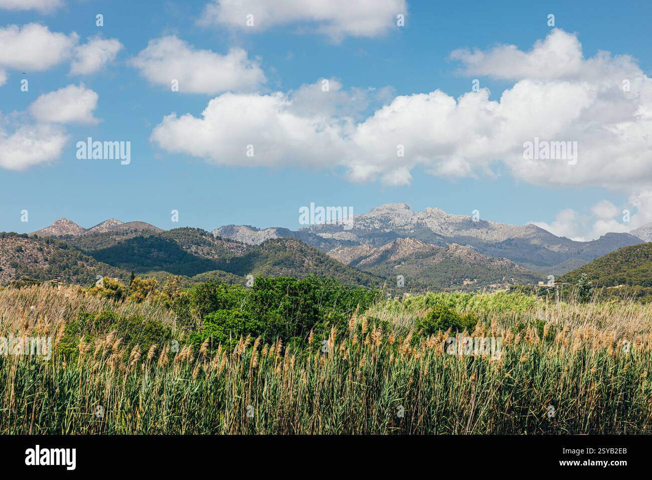 Vue panoramique sur la vallée verdoyante avec des arbres et des montagnes sous le ciel bleu avec des nuages Banque D'Images