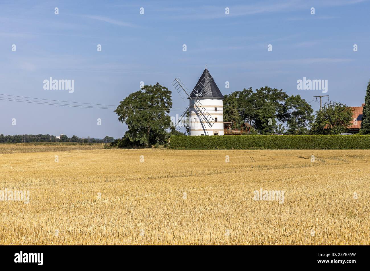 Moulin à vent de Schaenitz, Hirschstein, Saxe, Allemagne, Europe Banque D'Images