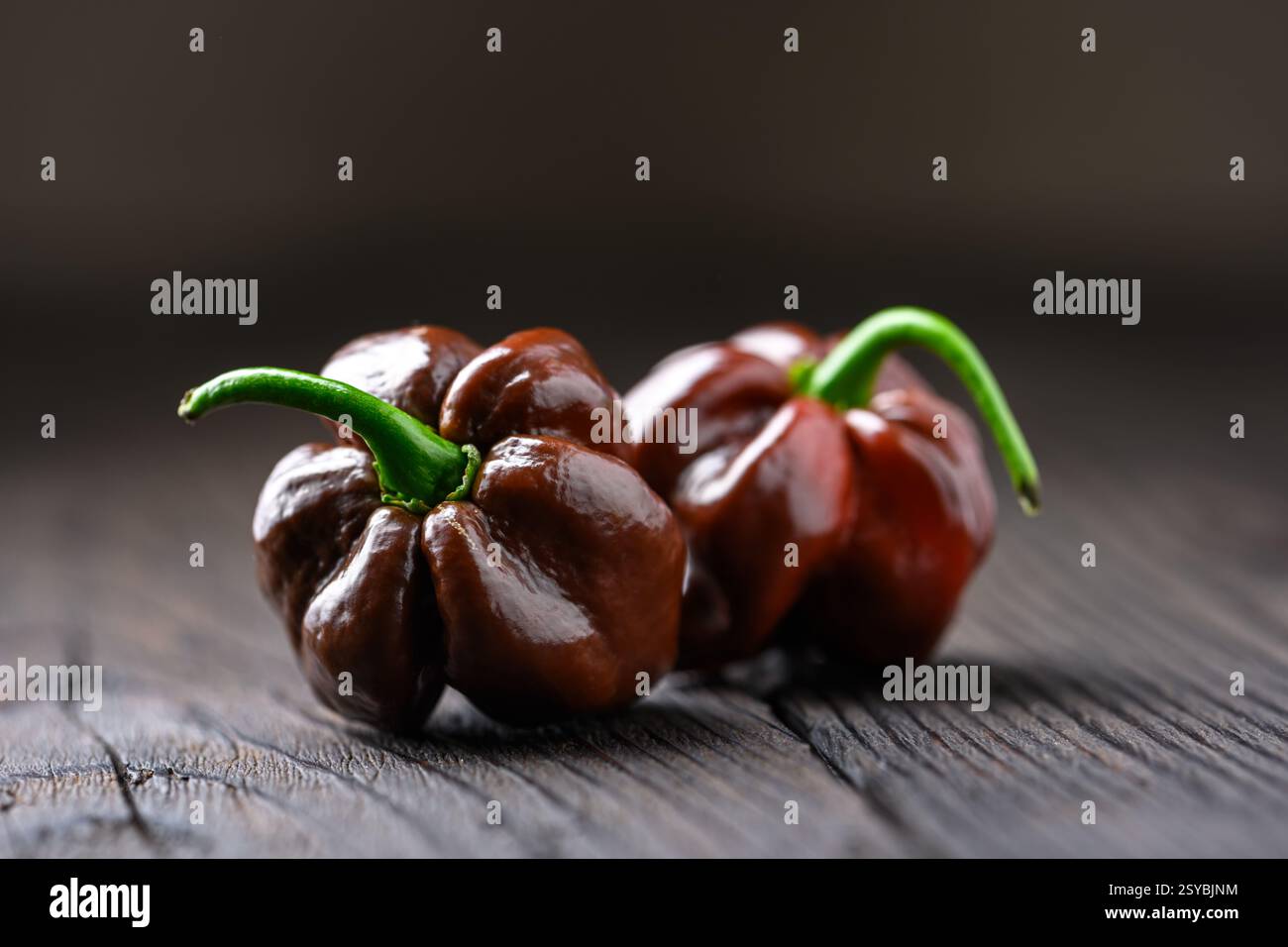 Deux poivrons habanero au chocolat mûrs (capsicum chinense) sur une table en bois rustique en gros plan Banque D'Images