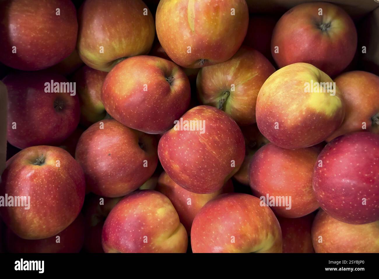 Pommes rouges cueillies en vrac dans le panier à l'exposition par grossiste de vente au détail de fruits marchand, Allemagne, Europe Banque D'Images