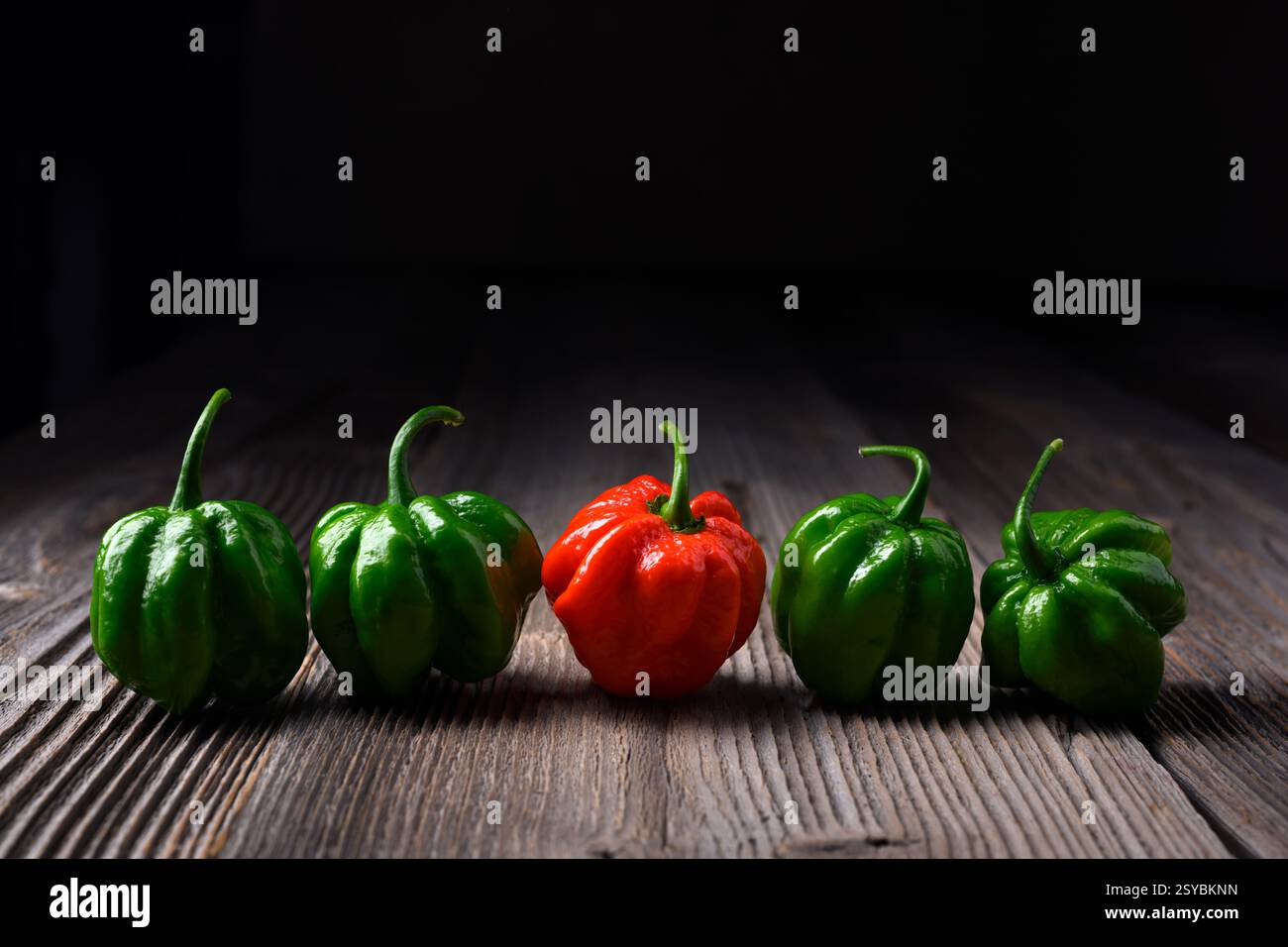 Poivrons habanero vert et rouge (capsicum chinense) placés dans une rangée sur fond sombre. Poivrons mexicains très chauds sur la table en bois rustique de près Banque D'Images