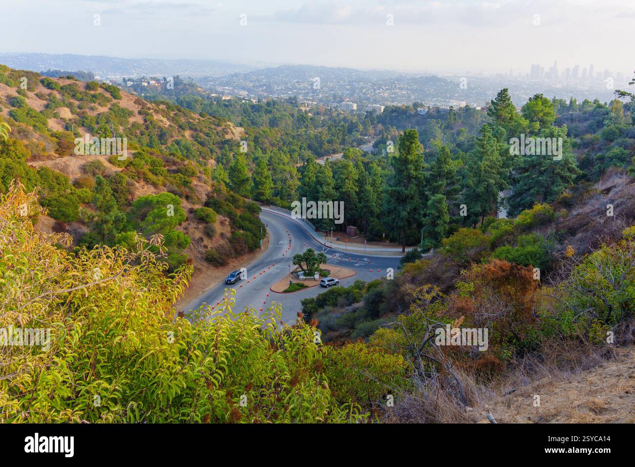 Paysage de vue aérienne du parc Griffith avec des routes sinueuses, une végétation luxuriante et une atmosphère sereine propice aux activités de plein air. Banque D'Images