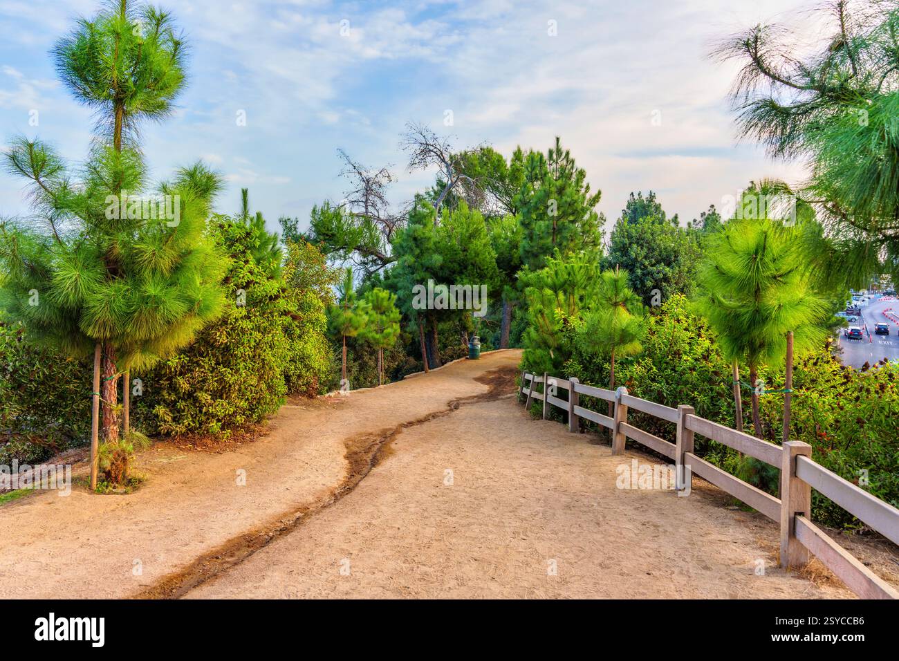 Los Angeles, Californie - 14 décembre 2024 : sentier de terre sinueux à travers la forêt de Berlin dans Griffith Park, bordé par des arbres luxuriants et une clôture en bois. Banque D'Images
