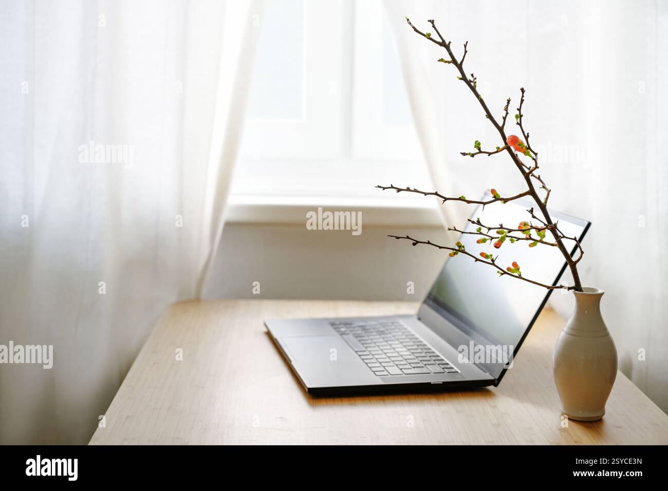 Ordinateur portable sur un bureau près de la fenêtre et une branche de coing unique avec des bourgeons roses et verts dans un vase, un peu de printemps pour des affaires agréables dans le bureau à domicile Banque D'Images