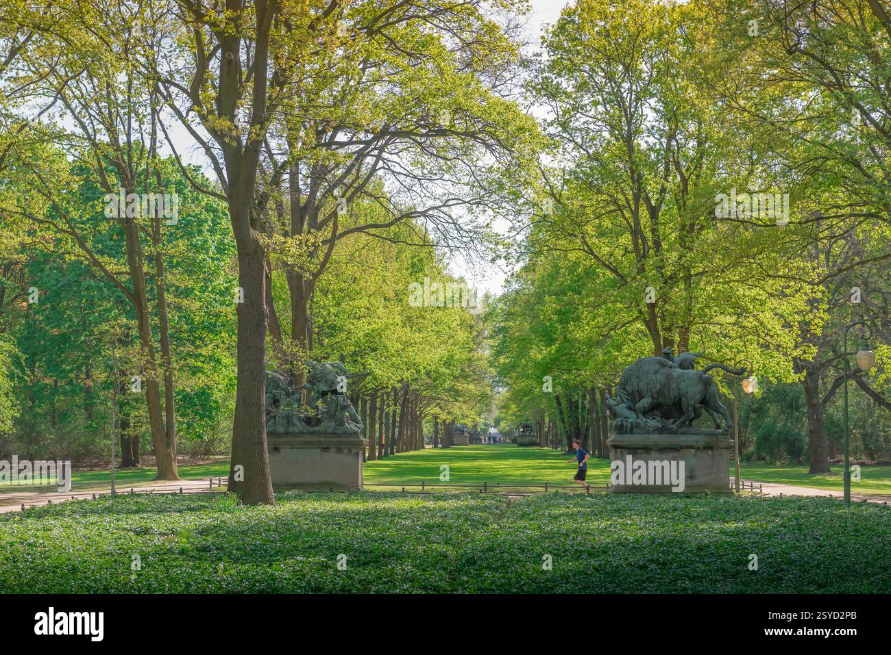 Jogging homme parc de la ville, vue au début de l'été d'un jeune homme jogging seul dans le parc Tiergarten dans le centre de Berlin, Allemagne. Banque D'Images
