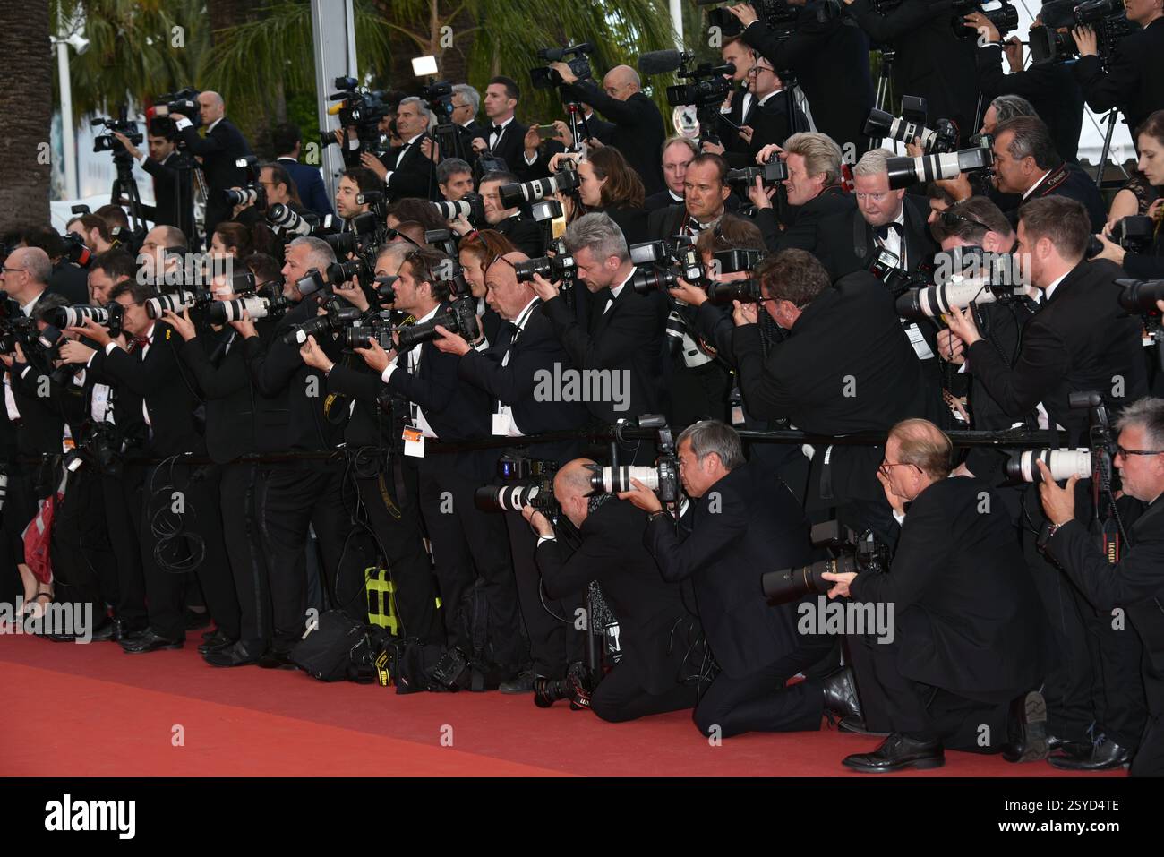 CANNES, FRANCE - 12 MAI : photographes à la projection de Money Monster - 69e Festival de Cannes, France 12 mai 2016.Cap/PL ©Phil Loftus/Capital Pictur Banque D'Images