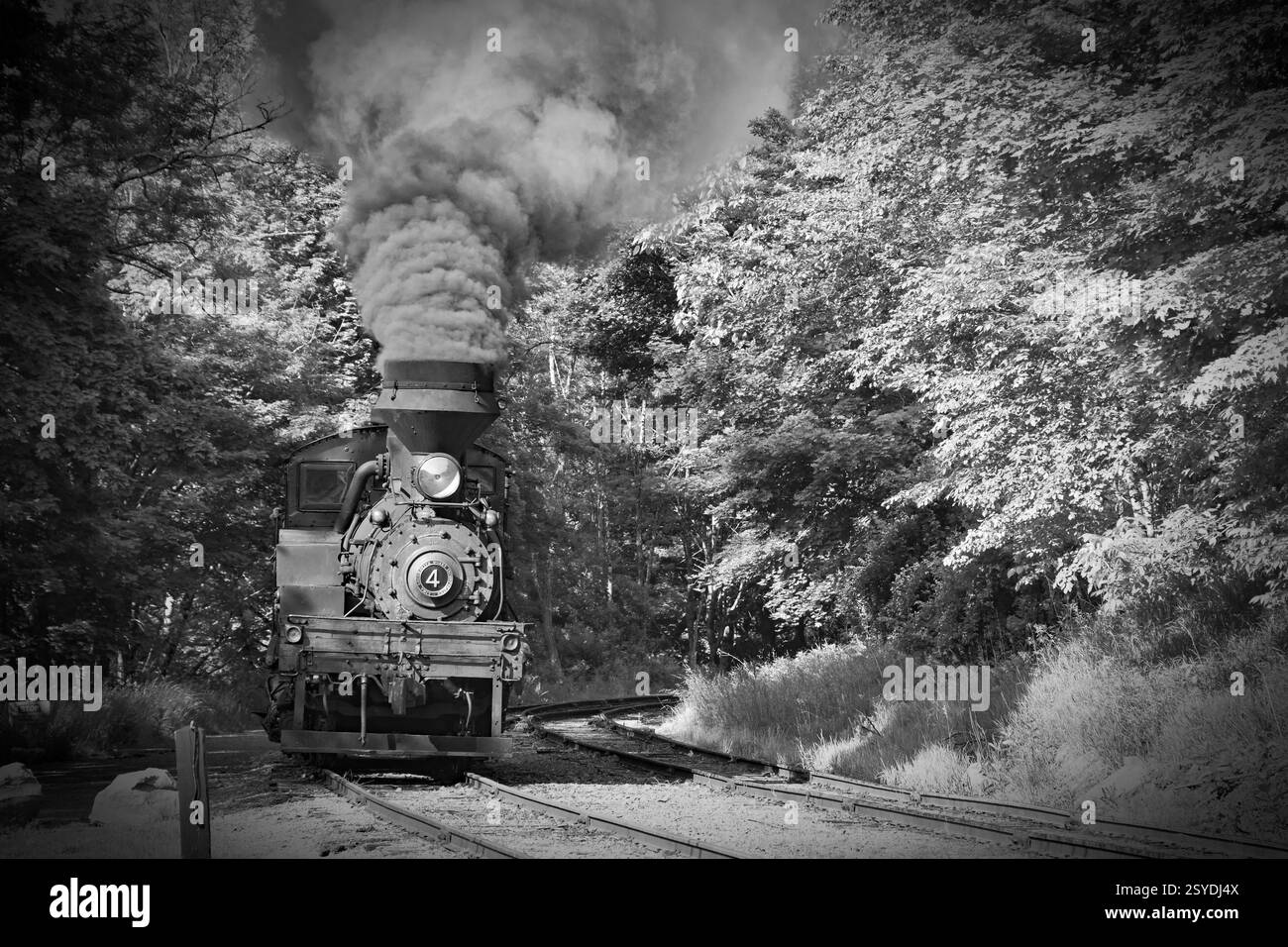Shay #4 sur le Cass Scenic Railway à Cass, WV prêt à prendre un train pour Durbin, WV Banque D'Images