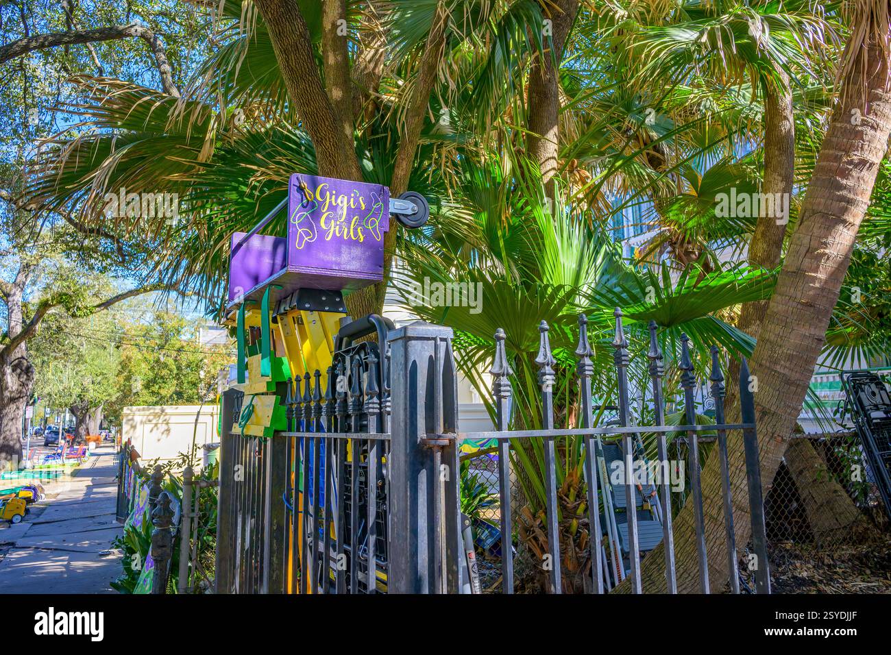 New Orleans, LOUISIANE, États-Unis - 26 février 2025 : échelles colorées installées sur une propriété privée le long du parcours de défilé de Charles Avenue pour une visite de défilé plus tard dans la soirée Banque D'Images