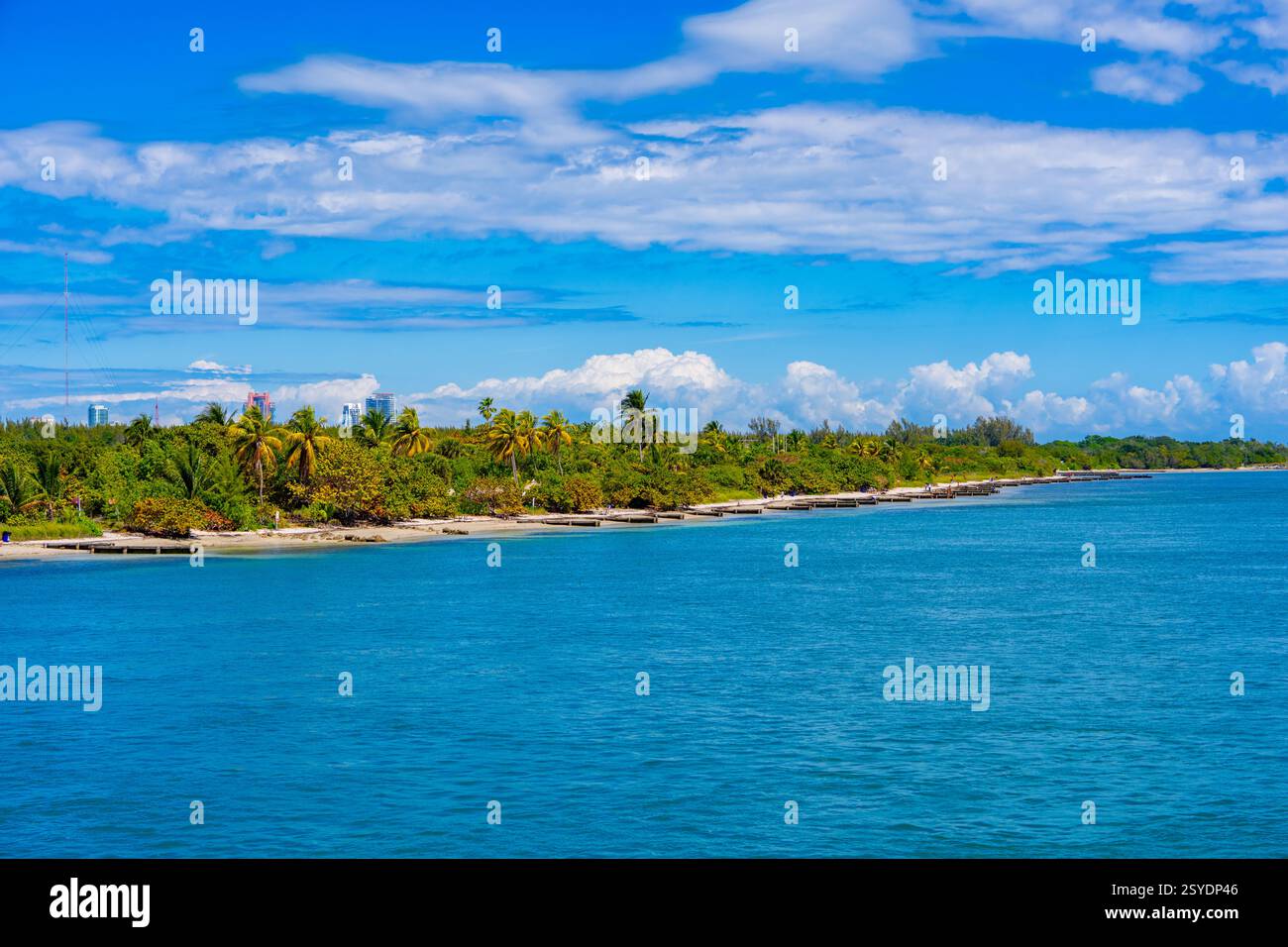 La plage tropicale ressemble aux Bahamas avec une eau claire Banque D'Images