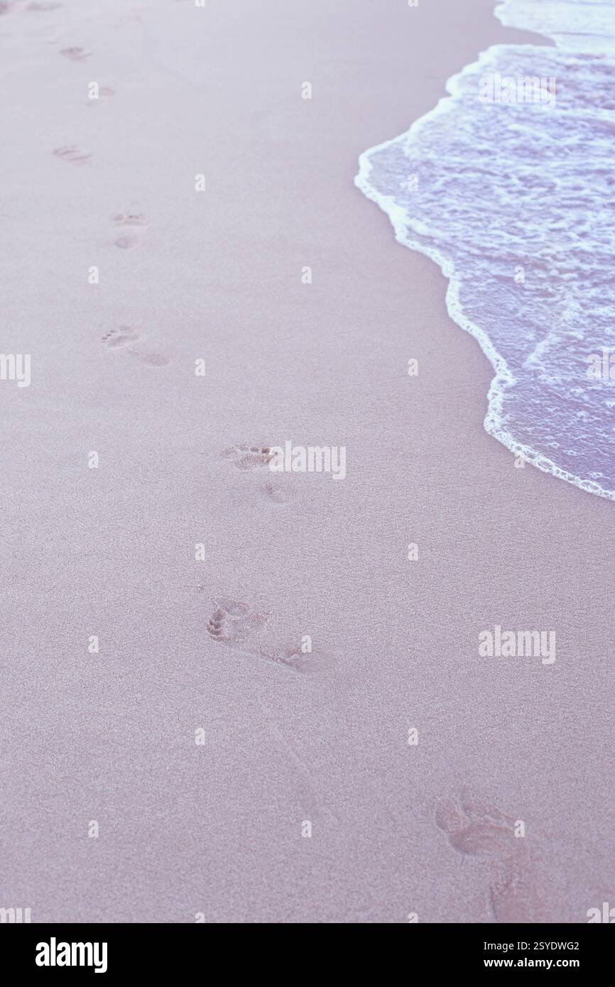 Empreintes de pieds humains sur le sable près de l'eau sur la plage. Banque D'Images