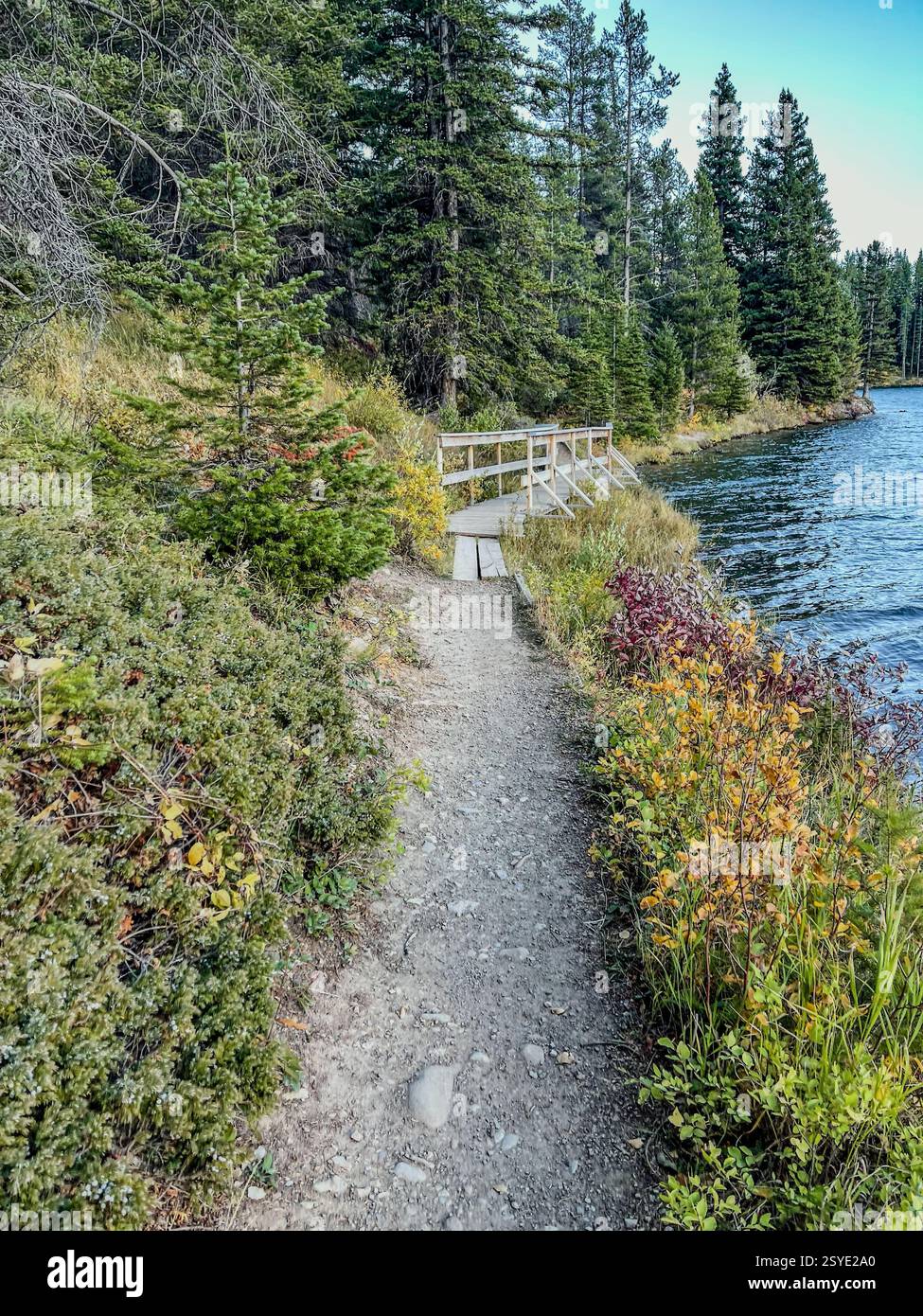Un sentier de randonnée en terre longe un lac calme, entouré de verdure luxuriante et d'arbres à feuilles persistantes. Un petit pont en bois traverse le chemin, menant à t Banque D'Images