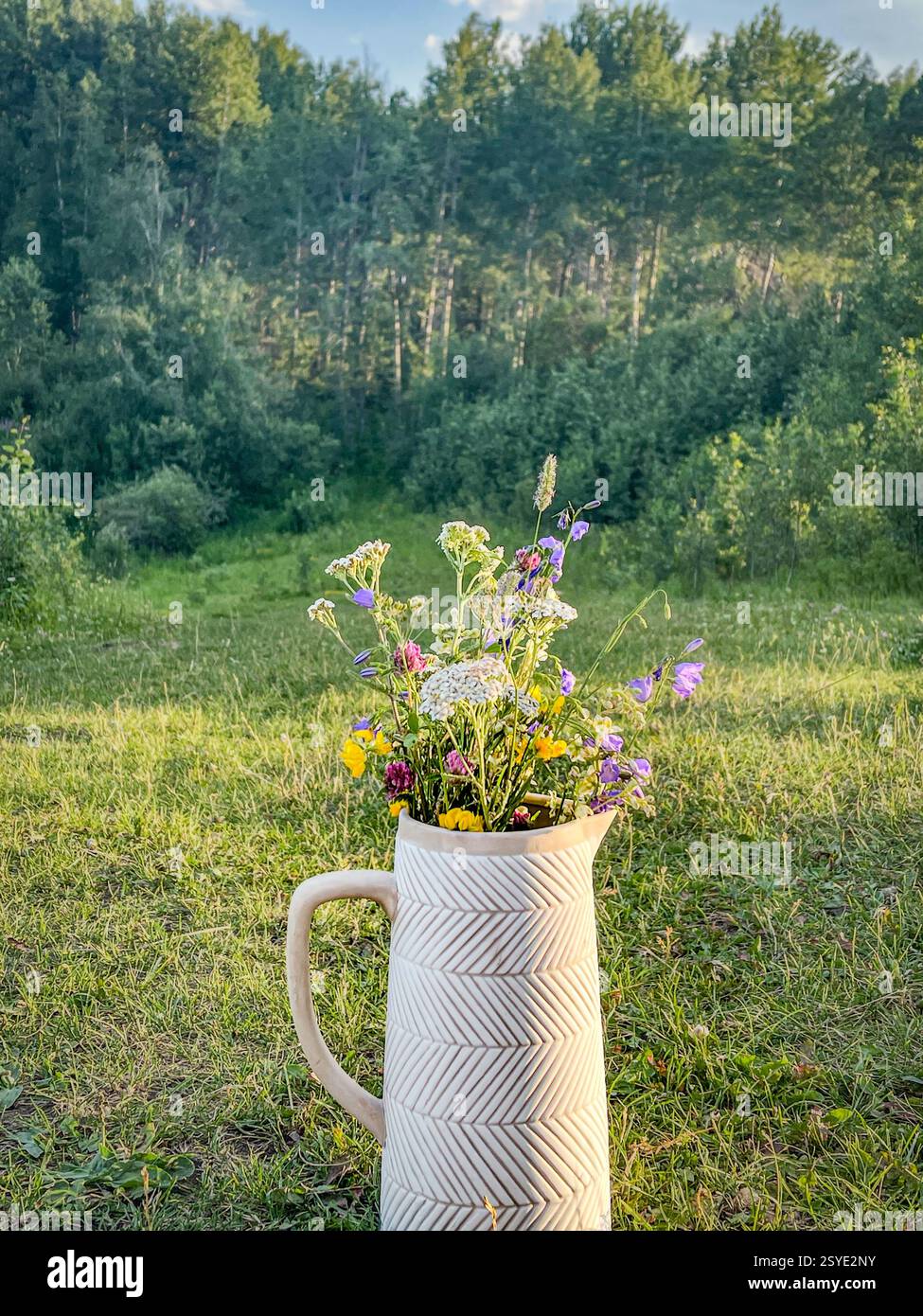 Une cruche en céramique texturée blanche remplie de fleurs sauvages fraîches se trouve sur l'herbe verte, avec une forêt dense en arrière-plan. Photographié en plein jour naturel - Image de stock capturée avec un smartphone