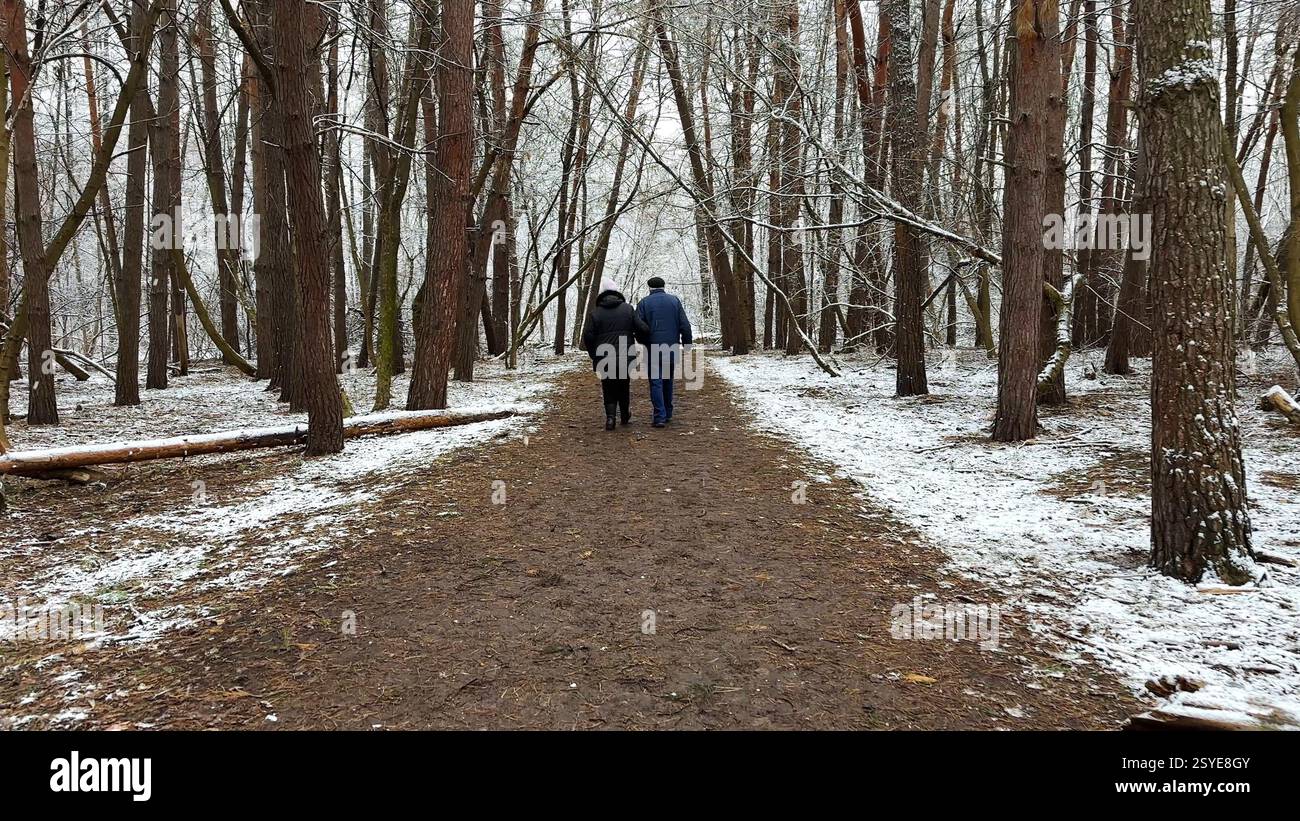 Couple mûr allant sur le chemin enneigé à la forêt de pins d'hiver. Mari senior et femme marchant à travers le sentier dans la forêt de conifères. Ancienne paire de Banque D'Images