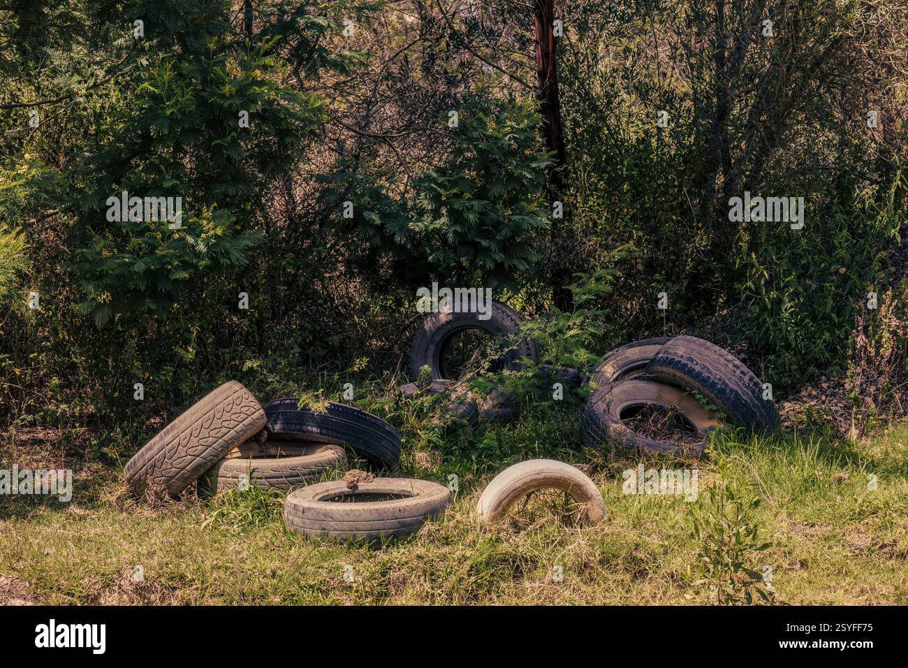 Quelques vieux pneus jetés à la lisière d'une forêt, dans une ferme près de la ville coloniale de Villa de Leyva dans le centre de la Colombie. Banque D'Images