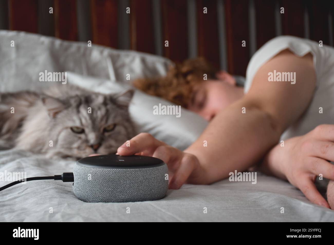 Jeune homme dormant avec un chat et appuyant sur le bouton snooz sur l'assistant virtuel Banque D'Images
