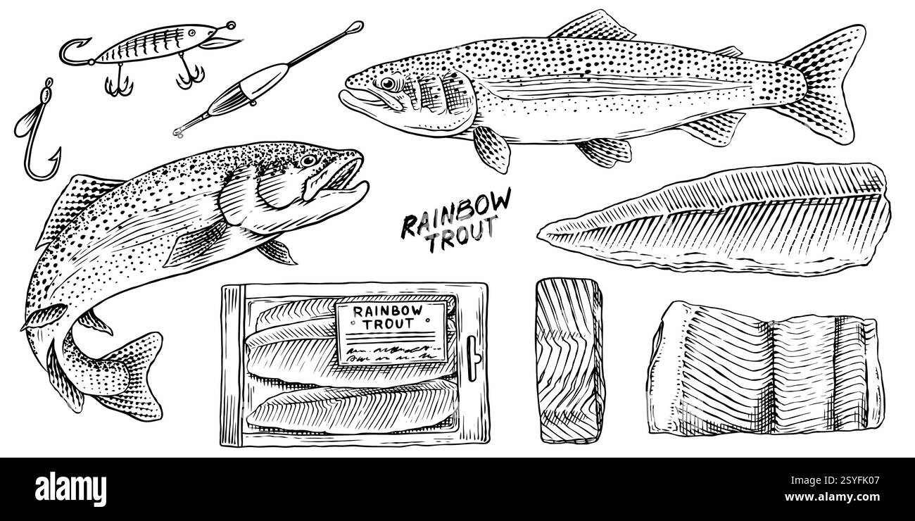 Collection de truites arc-en-ciel avec paquet de poisson et morceau de viande. Éléments de pêche fluviale et filet, saumon ou autres engins et hameçons de pêche de fruits de mer Illustration de Vecteur