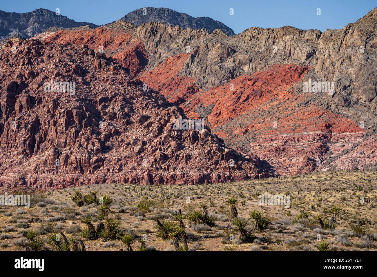 Red Rock Canyon National Conservation Area au Nevada, USA Banque D'Images