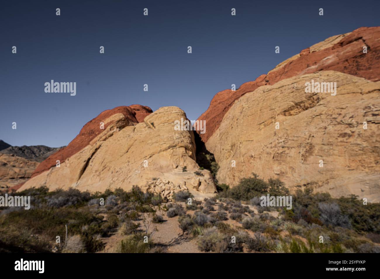 Red Rock Canyon National Conservation Area au Nevada, USA Banque D'Images