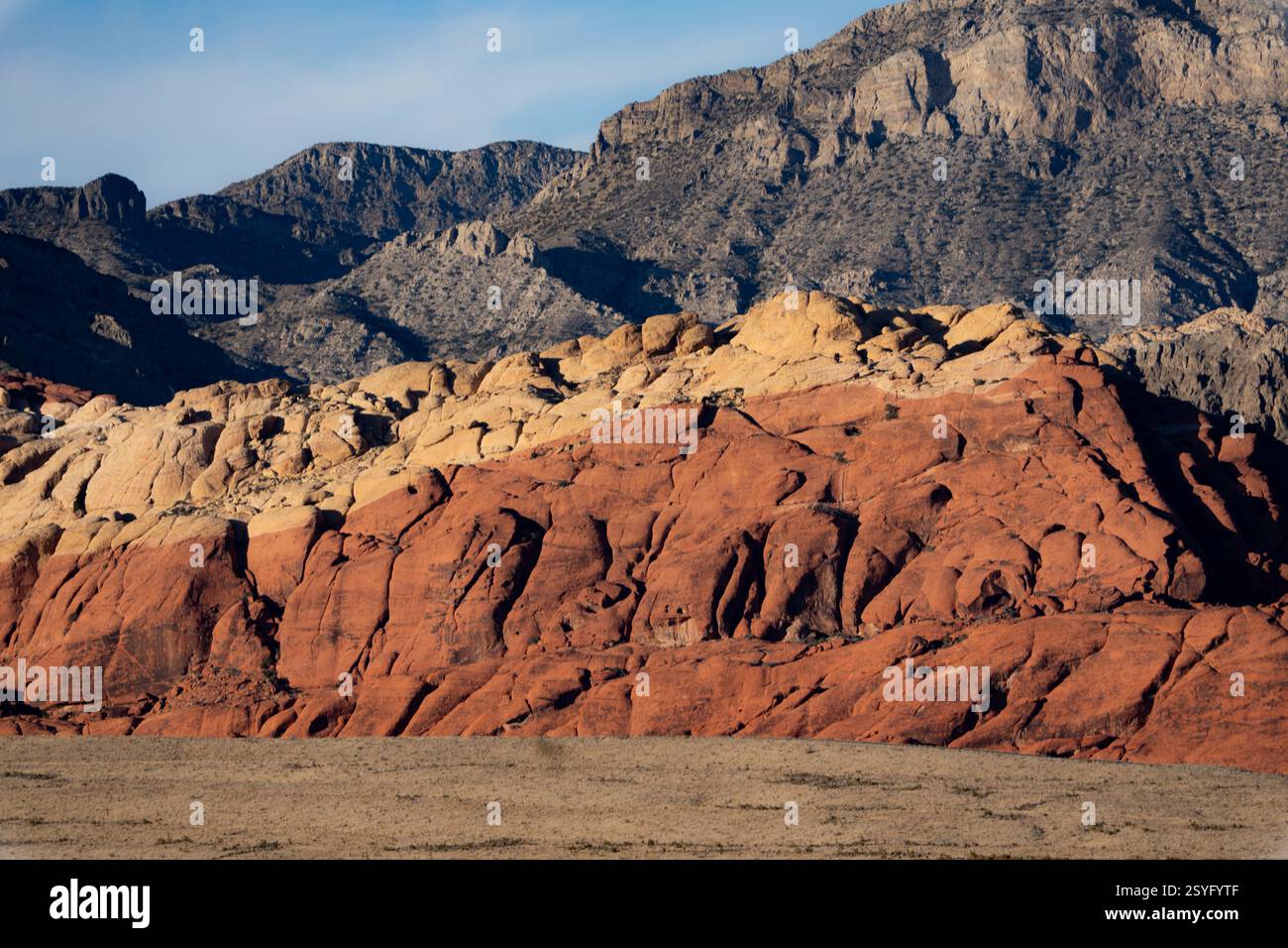 Red Rock Canyon National Conservation Area au Nevada, USA Banque D'Images