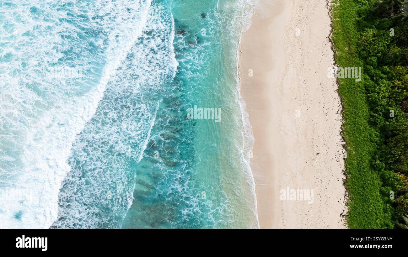 Les vagues turquoises se baignent contre une plage de sable blanc entourée de feuillage vert. Anse petit Boileau. Seychelles, Mahé. Banque D'Images