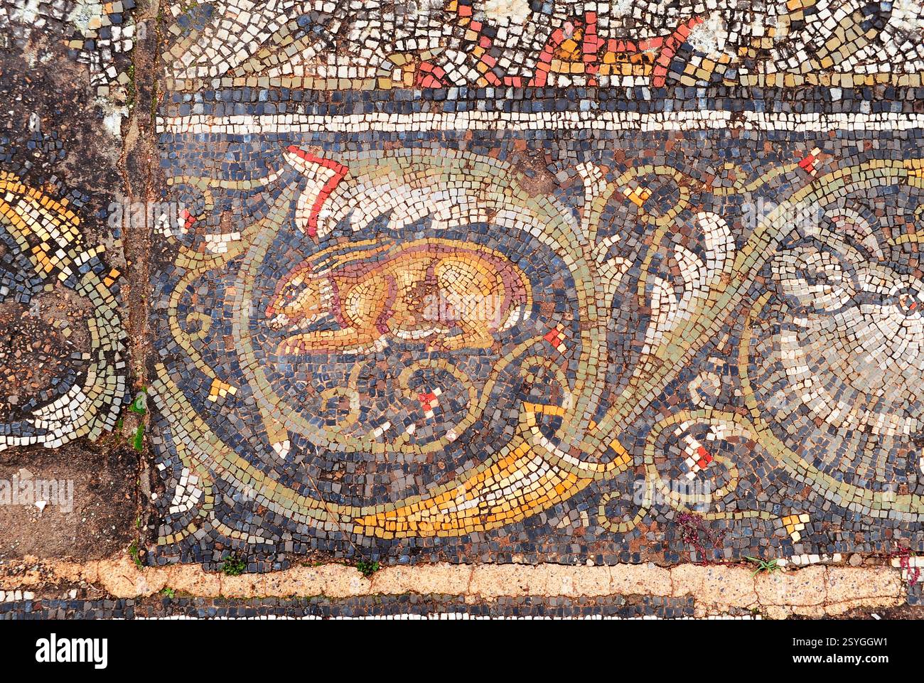 Mosaïque de 'maison de chasse', Bulla Regia, Tunisie Banque D'Images