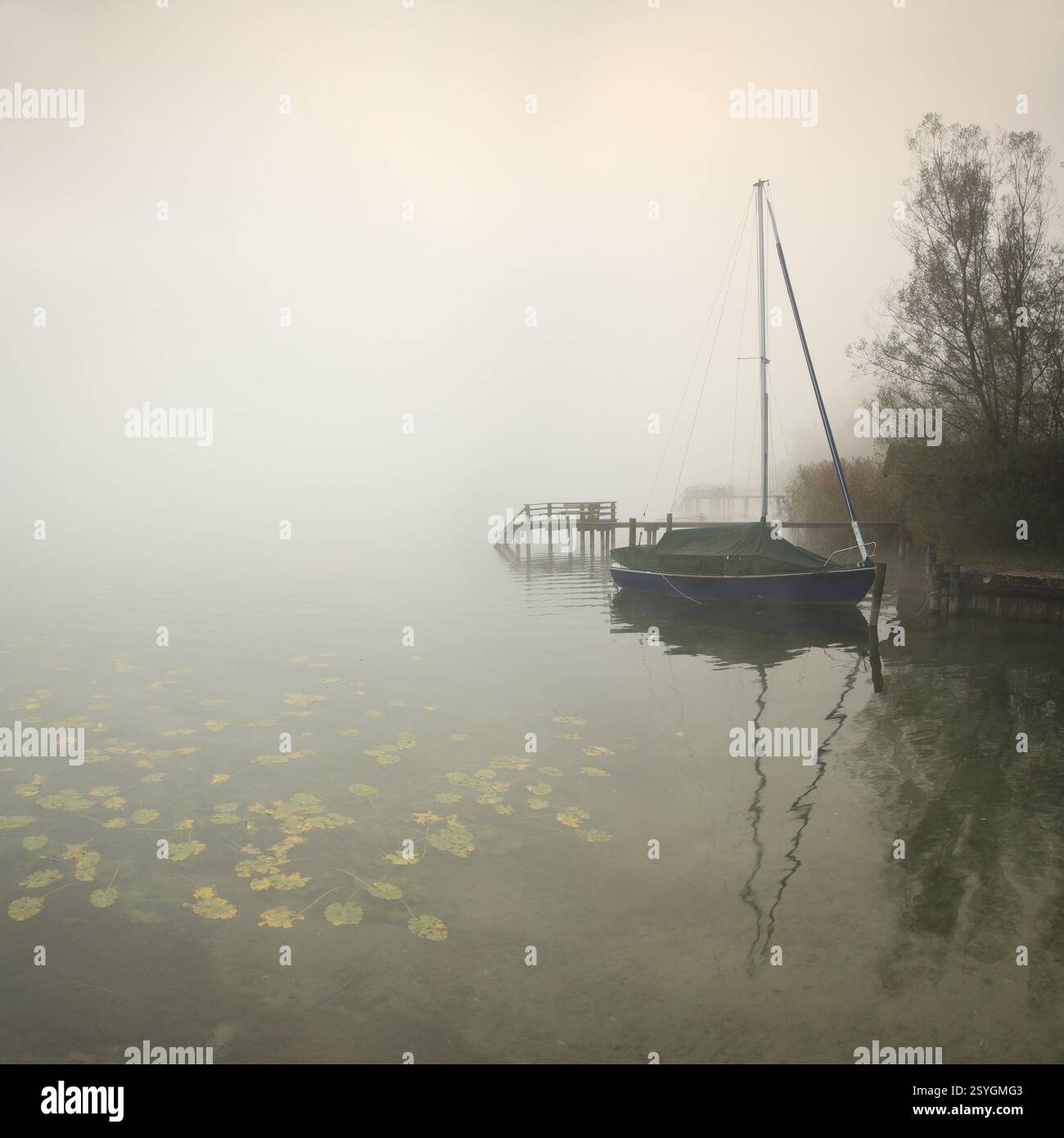 Matin d'automne tranquille sur le lac Chiemsee, jetées et voilier dans le brouillard dense, nénuphars dans l'eau, Prien am Chiemsee, Bavière, Allemagne, Europe Banque D'Images