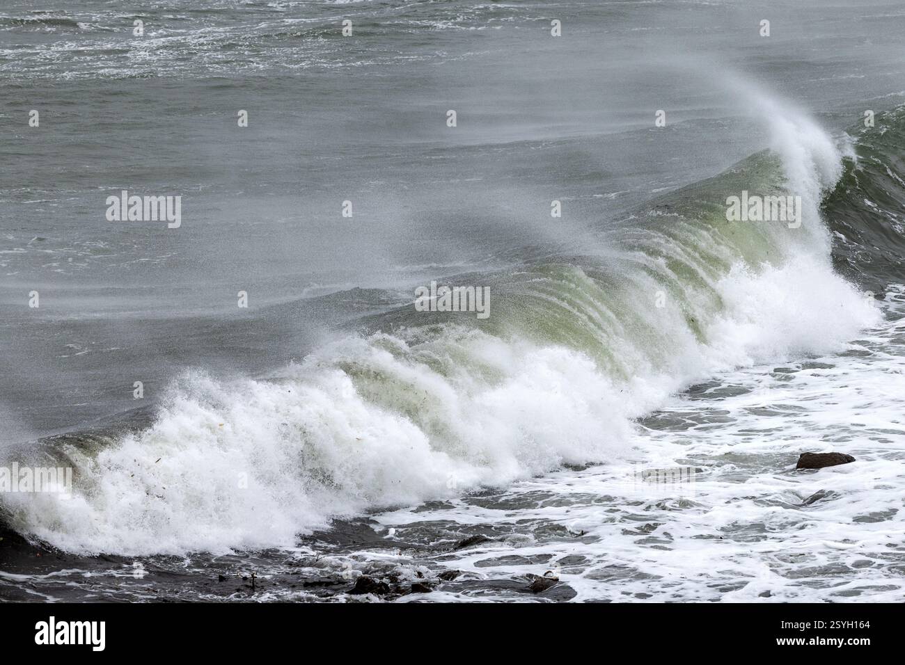Vagues, journée venteuse, Pebble Island, îles Malouines Banque D'Images