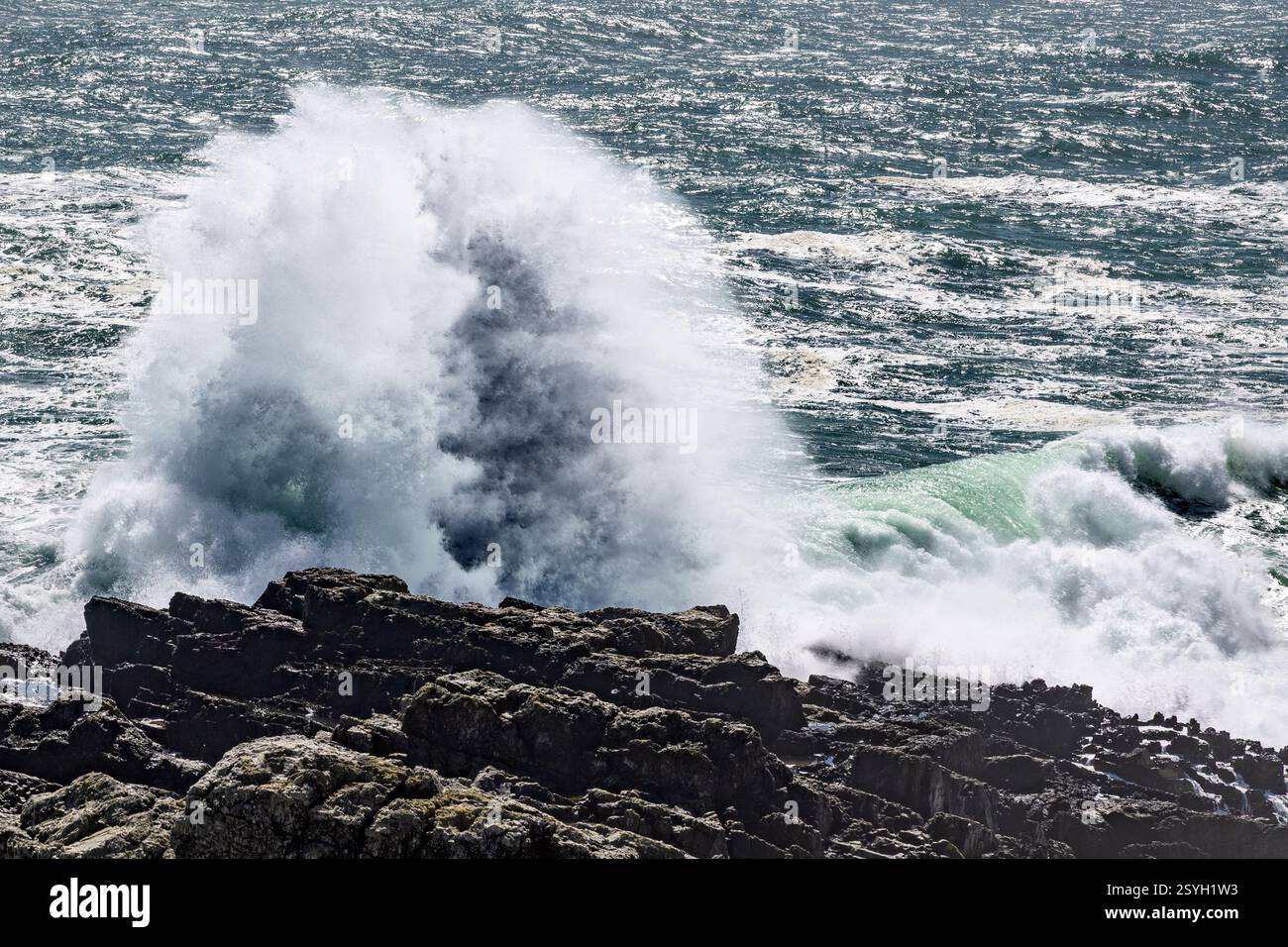 Seascape, Cape Bourgainville, East Island, îles Malouines Banque D'Images