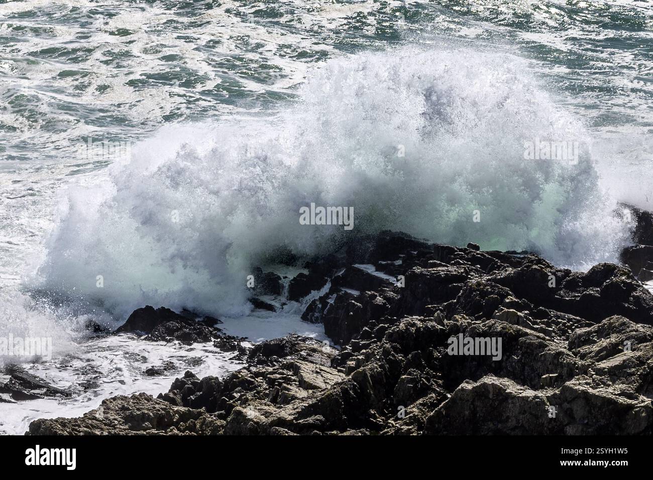Seascape, Cape Bourgainville, East Island, îles Malouines Banque D'Images