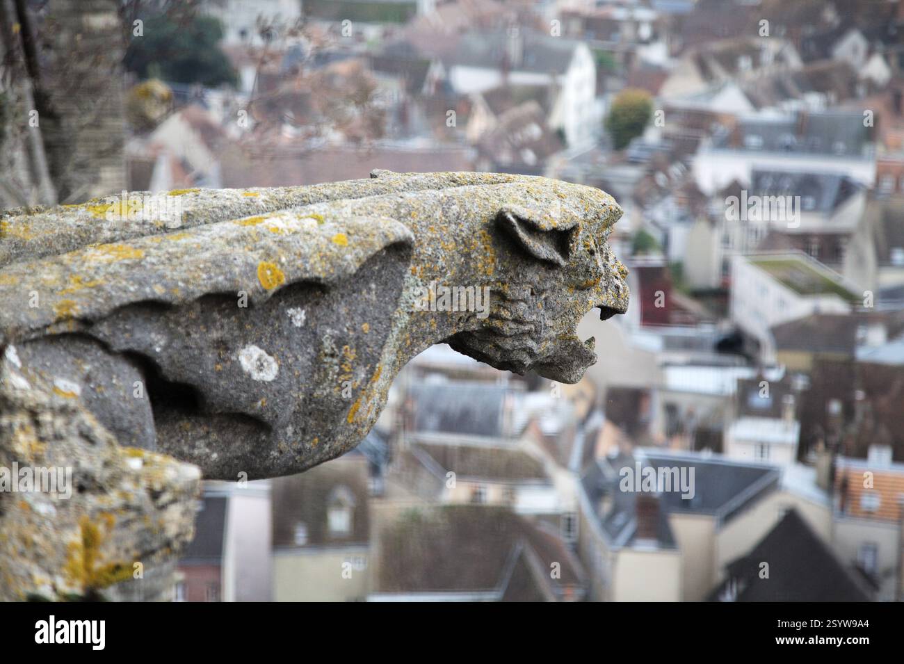 Une gargouille dépasse de la cathédrale notre-Dame de Chartres, surplombant les toits historiques de Chartres, en France. Banque D'Images