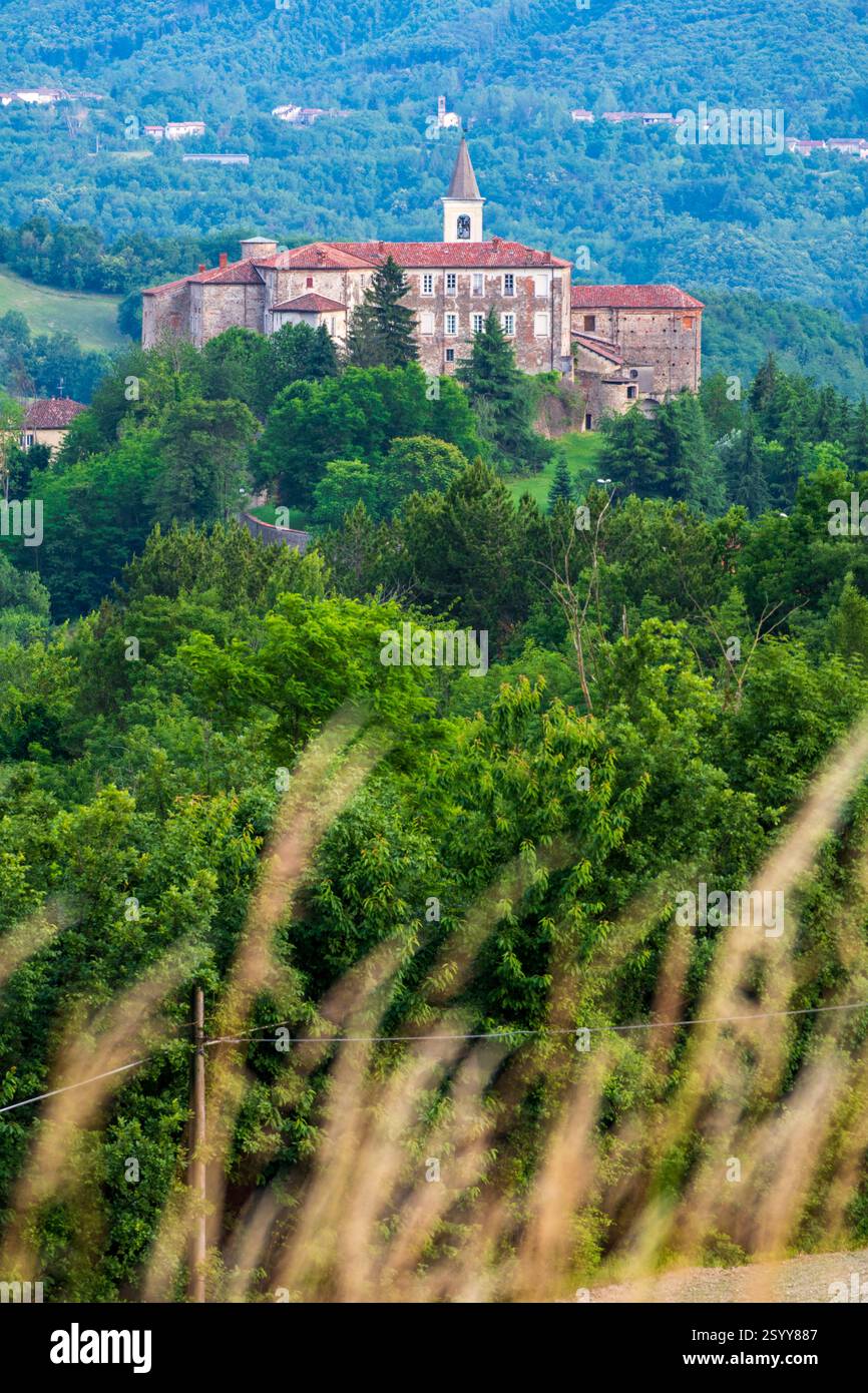 Champs de lavande dans les surrondings de Sale San Giovanni, Piémont, Italie. Banque D'Images