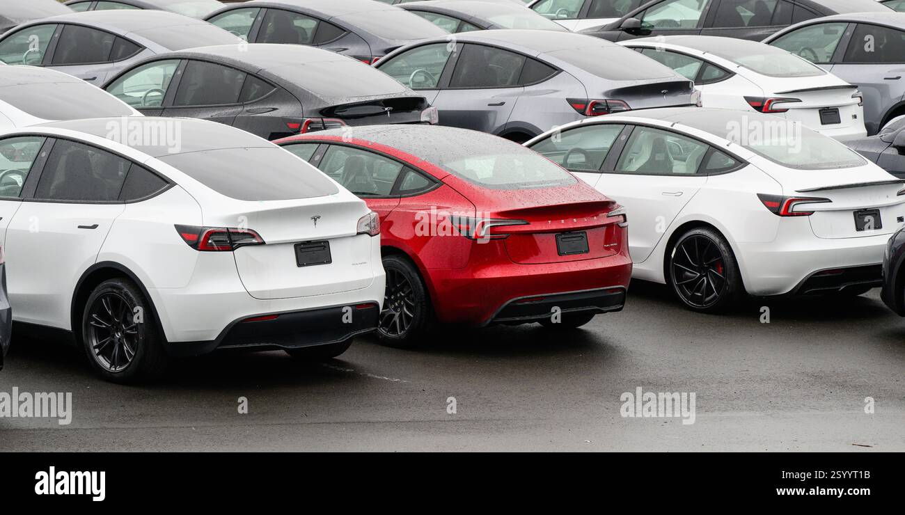 Seattle - 23 février 2025 ; voitures Tesla en attente de livraison dans le parking avec un véhicule de couleur rouge Banque D'Images